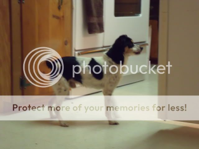 DSCF0085.jpg