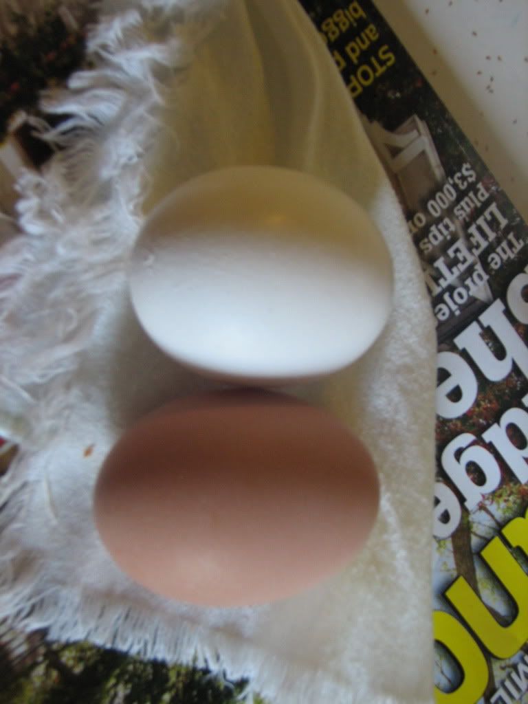 Firstegg009.jpg