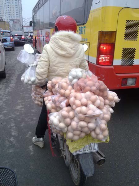 joke-funny-photo-Egg-transport.jpg