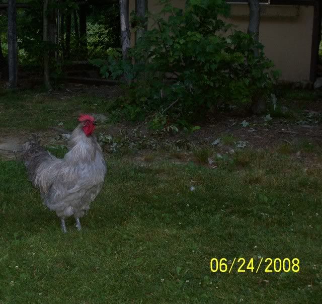 100_5055.jpg