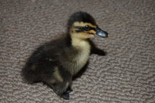 20110311_30.jpg