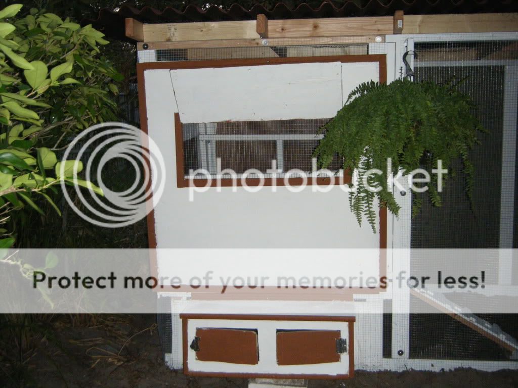 DSCF4597.jpg