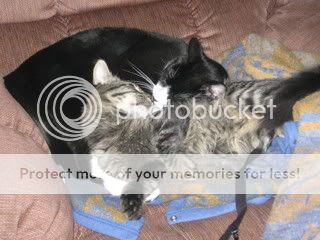 IMG_0978.jpg