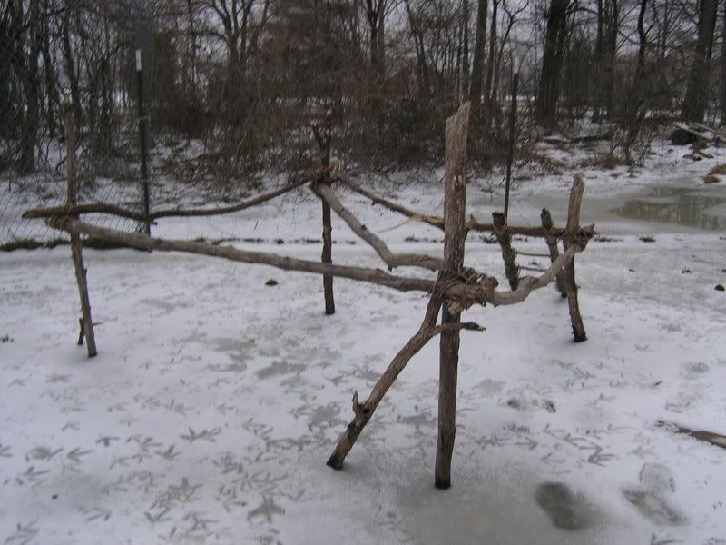 BOYardRoost08.jpg