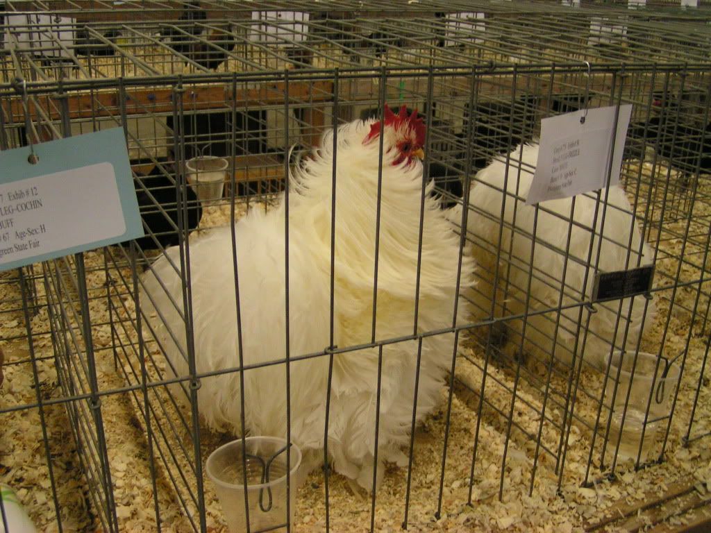 PICT0386.jpg
