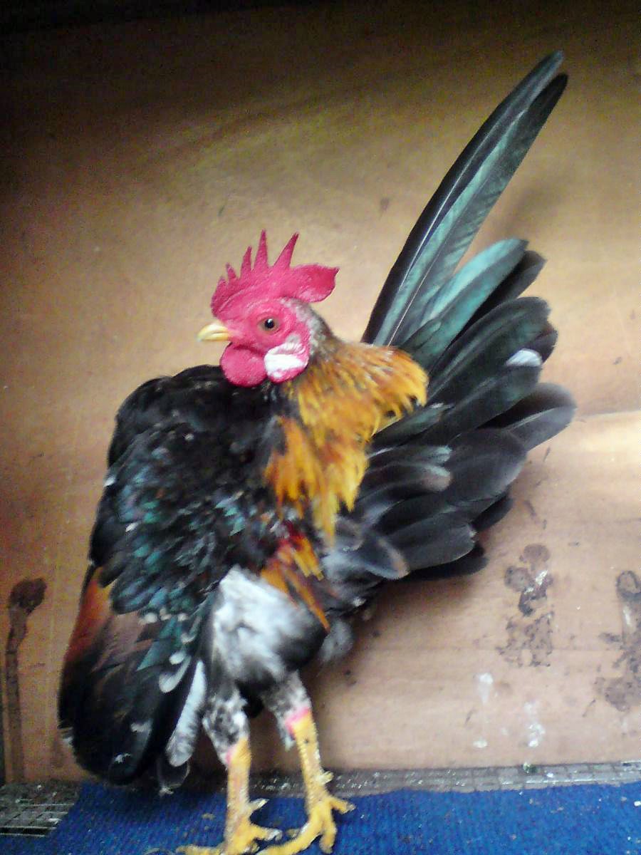 DSC010171.jpg