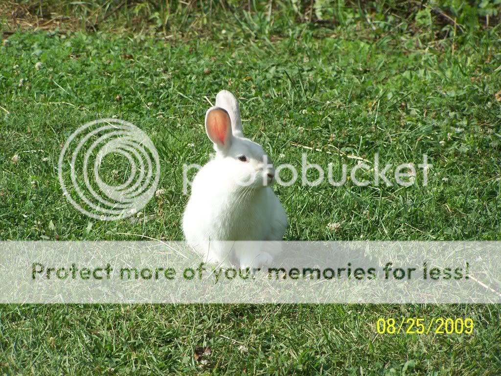 100_6584.jpg