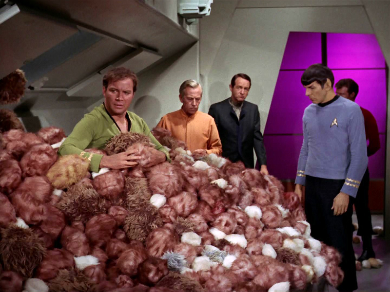 kirk-spock-tribbles.jpg