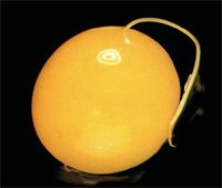 32cf1801_19157_59_roundwormsineggs.jpeg