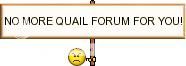 quailforum.jpg