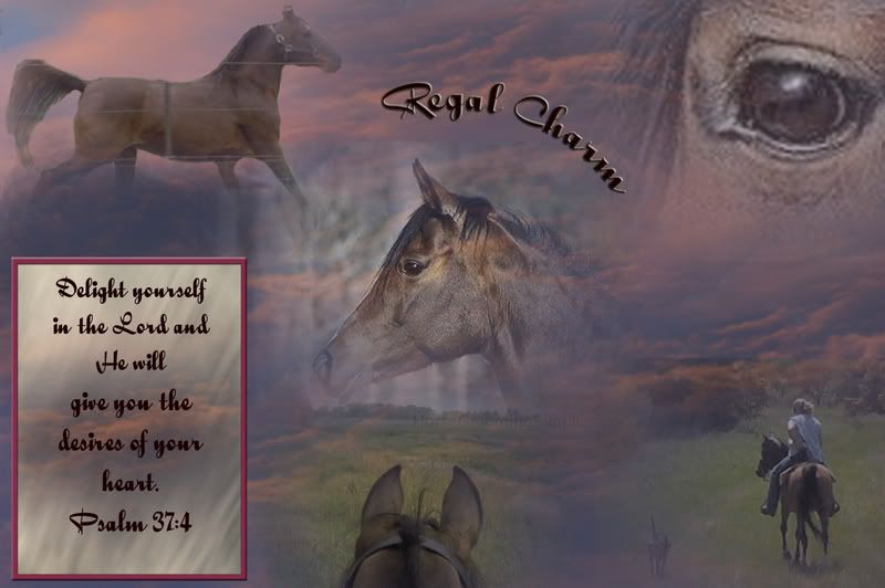 regal-done-1.jpg
