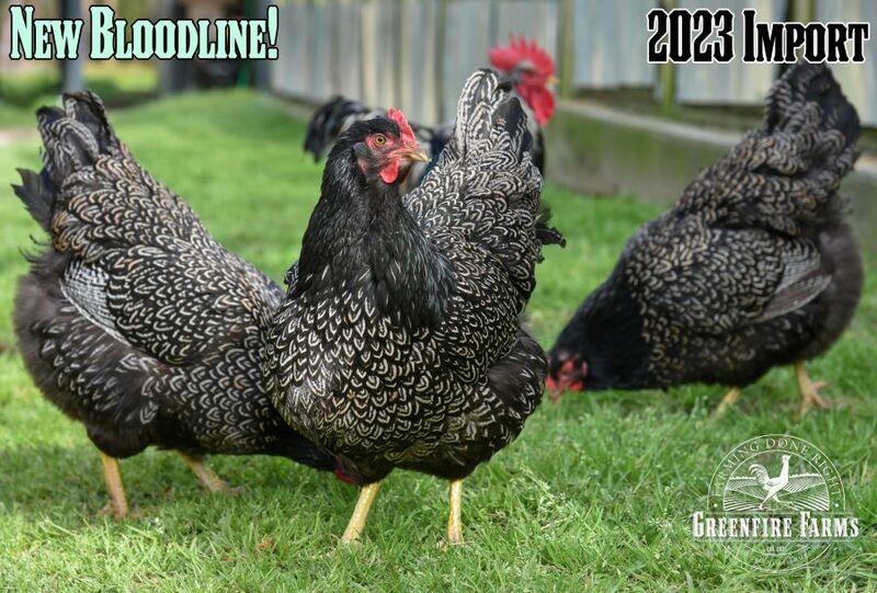 LBVD2groupWMlabeledresized.jpg