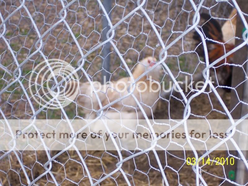 100_4161.jpg