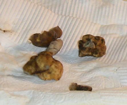 truffle.jpg