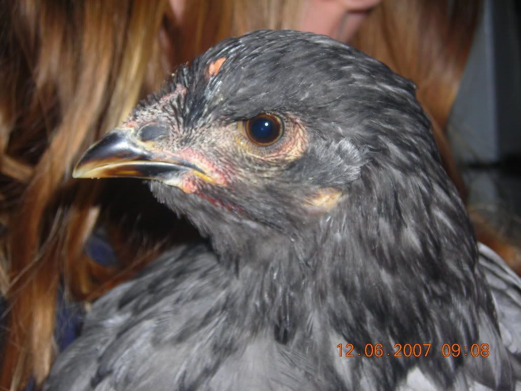 DSCN1559.jpg