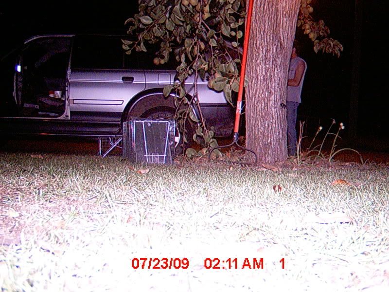 picture336.jpg