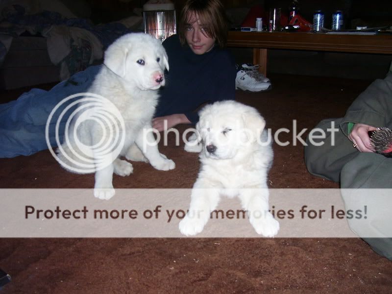 puppeehz067.jpg
