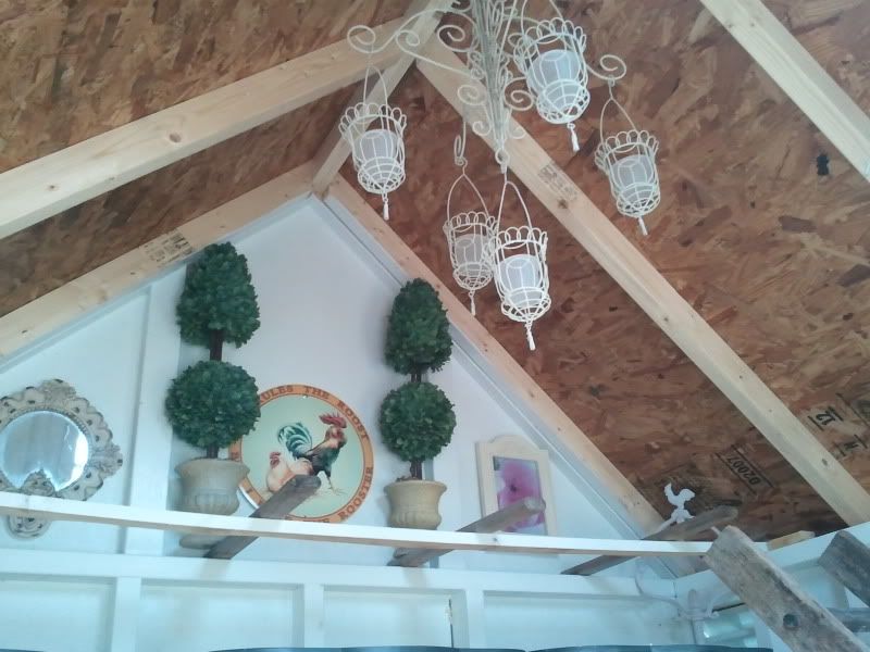 2011-03-14135444.jpg