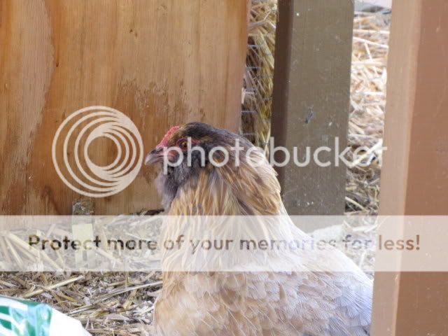 IMG_0041.jpg