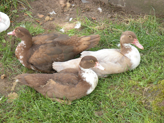 DSCN3830.JPG