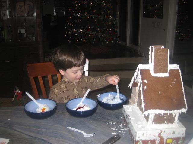 dsghouse2.jpg