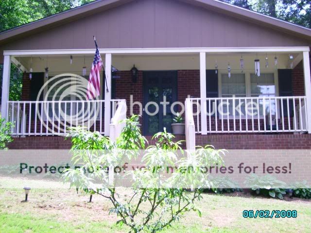 IMGP0490-1.jpg