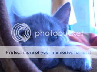 DSCN1019.jpg