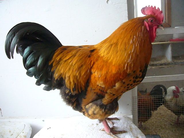 2-7-08002.jpg