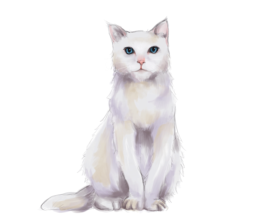 cat_animation_by_lunnarisaku-d64mpaf.gif