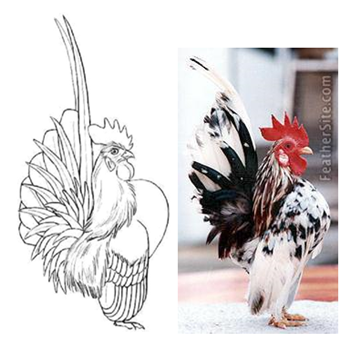 image002.png