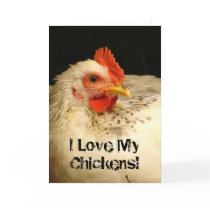 i_love_my_chickens_card-p137782384413199074tra8_210.jpg