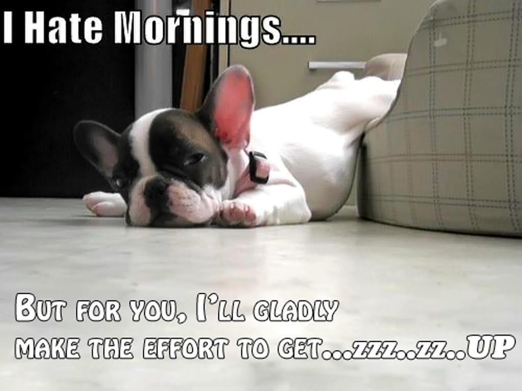 good-morning-funny-05.jpg