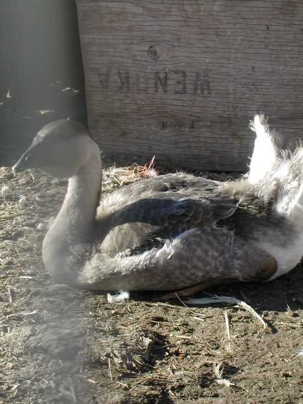 DSCN5405.jpg