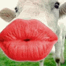 gif444456.gif