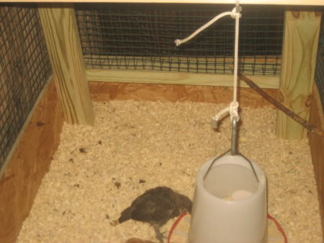 Picture049.jpg