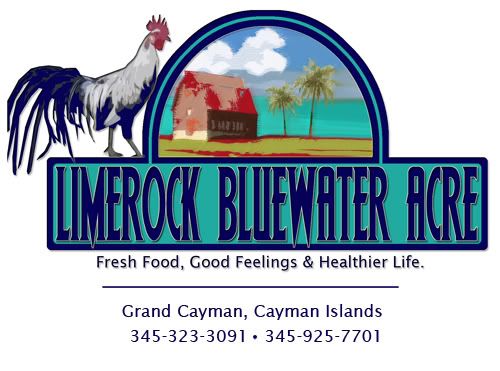 LimeRockBlueAcre-Letterhead.jpg