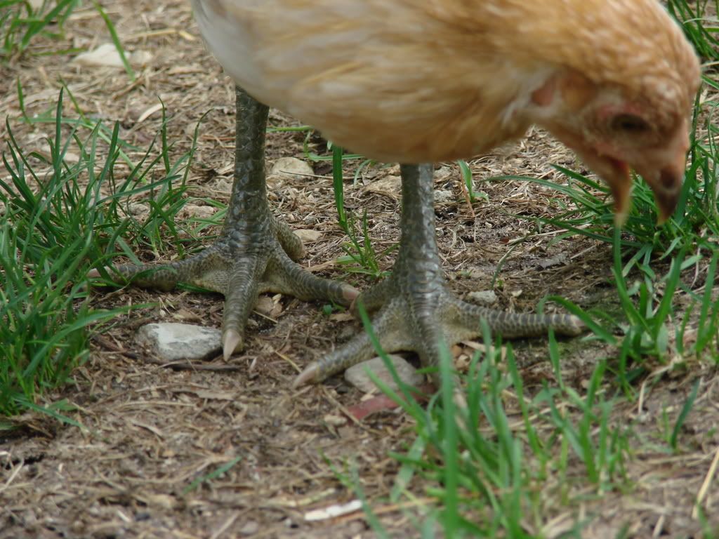 June_2007065.jpg