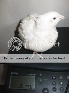 AMWT.jpg