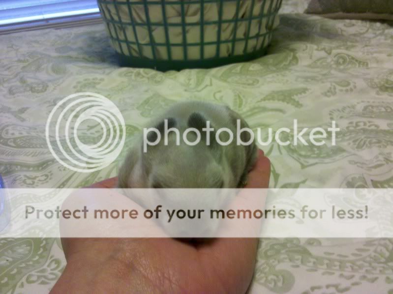 2011-07-15_19-54-03_559.jpg
