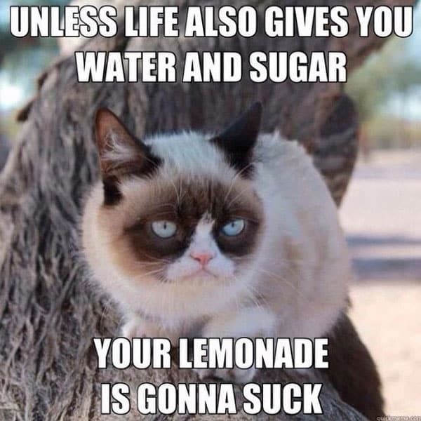 grumpy-cat-meme-081.jpg
