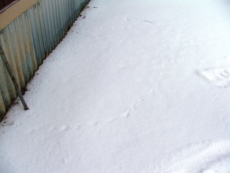 DSCF7960.jpg