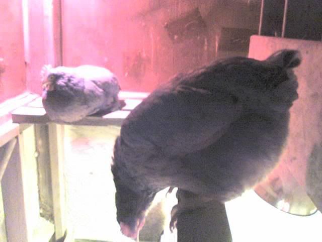 01-06-08_17391.jpg