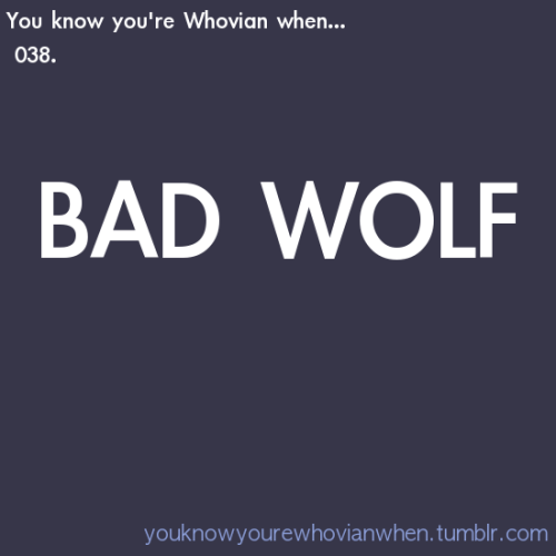 tumblr_lq9hhkRZy01r1mujpo1_500.png