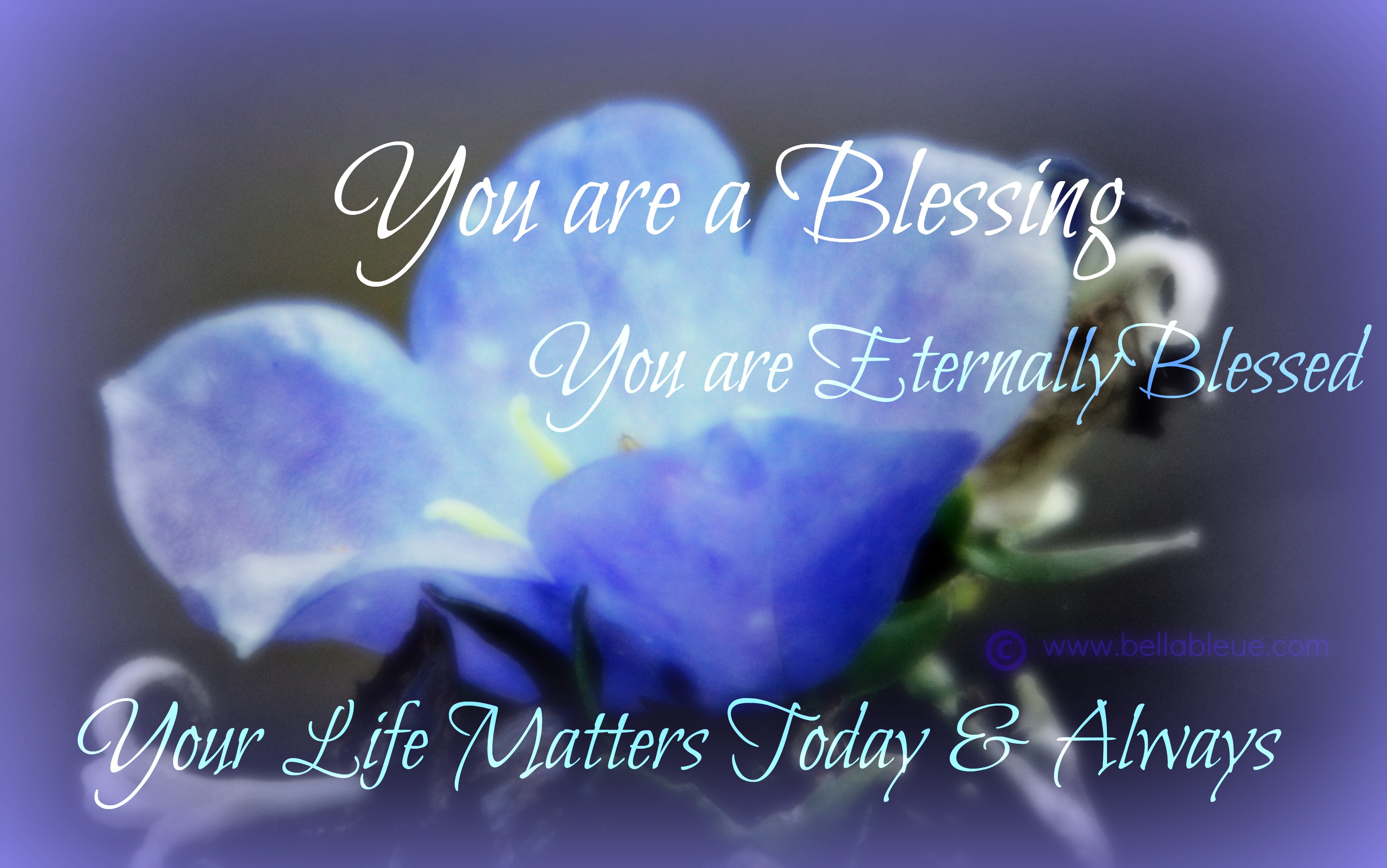 you-are-a-blessing-quotes.jpg