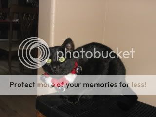 IMG_0915.jpg
