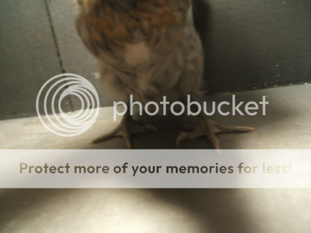 DSCF6975.jpg