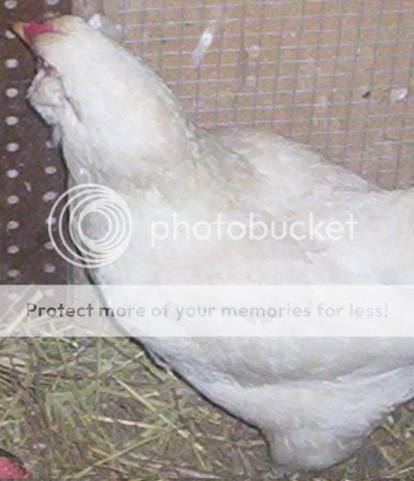 100_5165.jpg