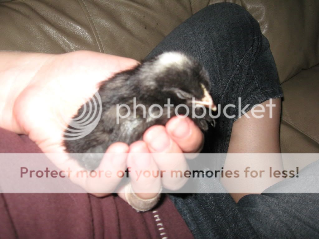 IMG_2521.jpg