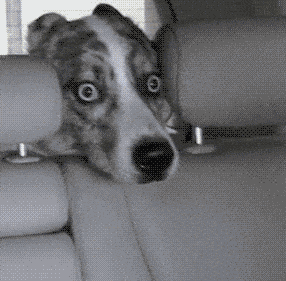 85065adf141701433526234636_700wa_0.gif