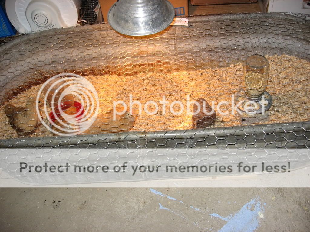 IMG_1275.jpg